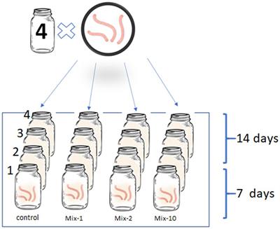 Effects of Three Pesticides on the Earthworm Lumbricus terrestris Gut Microbiota